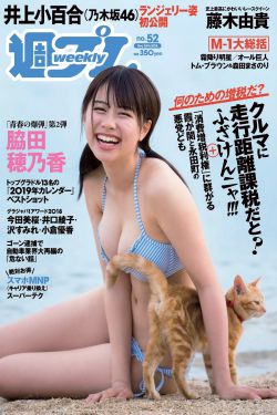 东北往事之黑道风云二十年